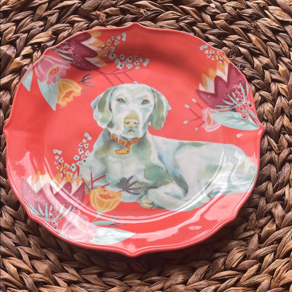 180 degrees Porcelain Posh Dog Salad Plate - Coral